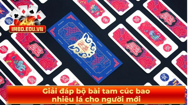 Giải đáp bộ bài tam cúc bao nhiêu lá cho người mới