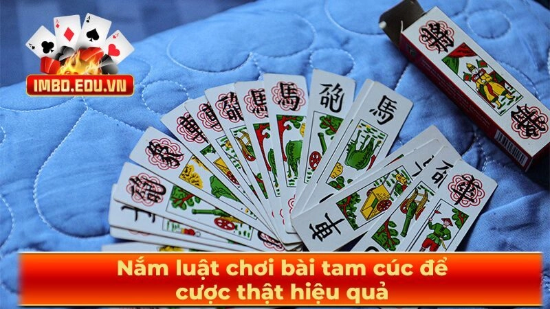 Nắm luật chơi bài tam cúc để cược thật hiệu quả