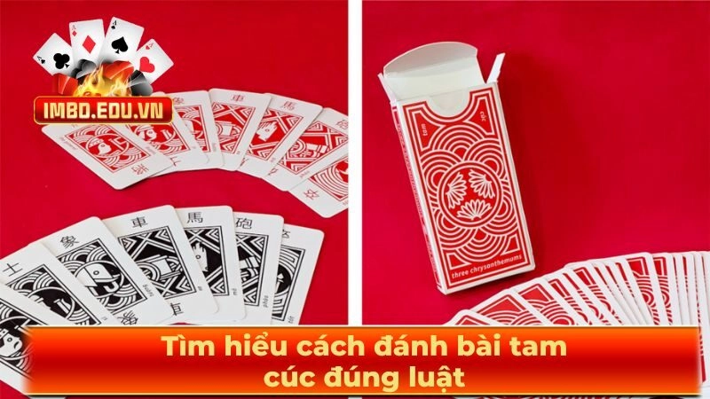 Tìm hiểu cách đánh bài tam cúc đúng luật